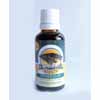Devil's Claw Herbal Africa