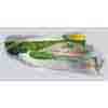 Neem Adance Toothpaste